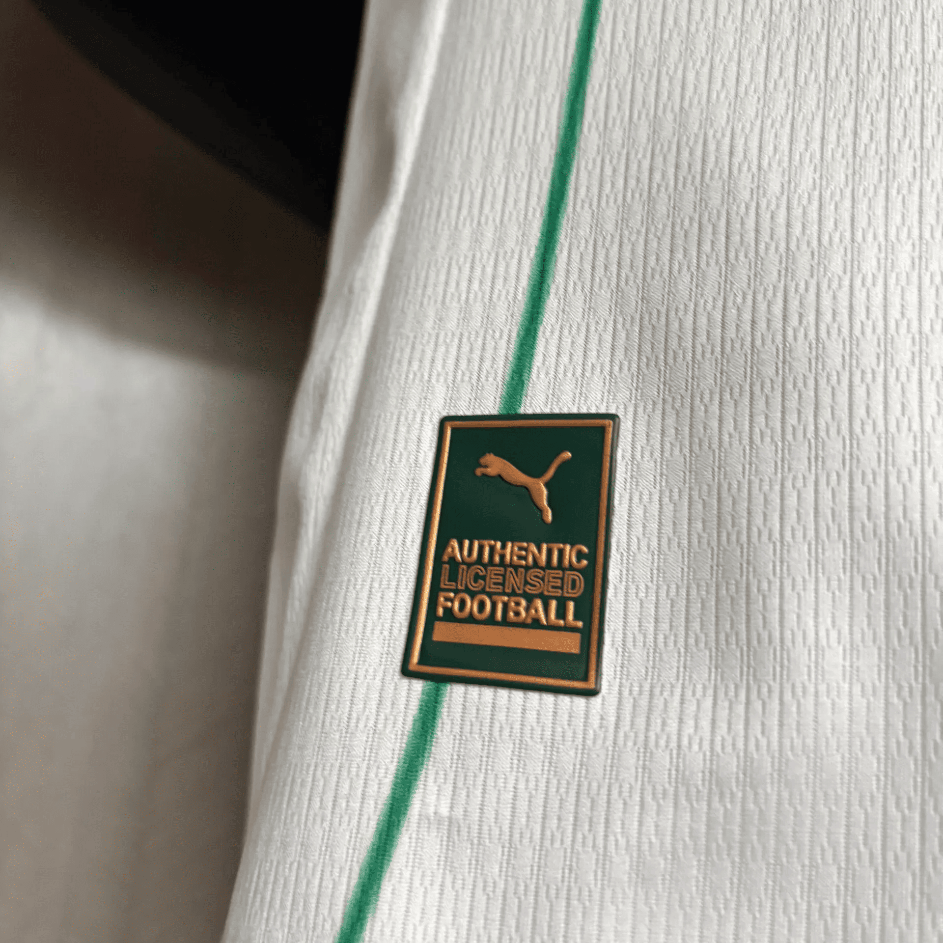 Camisa Palmeiras 2026 Away — Jogador