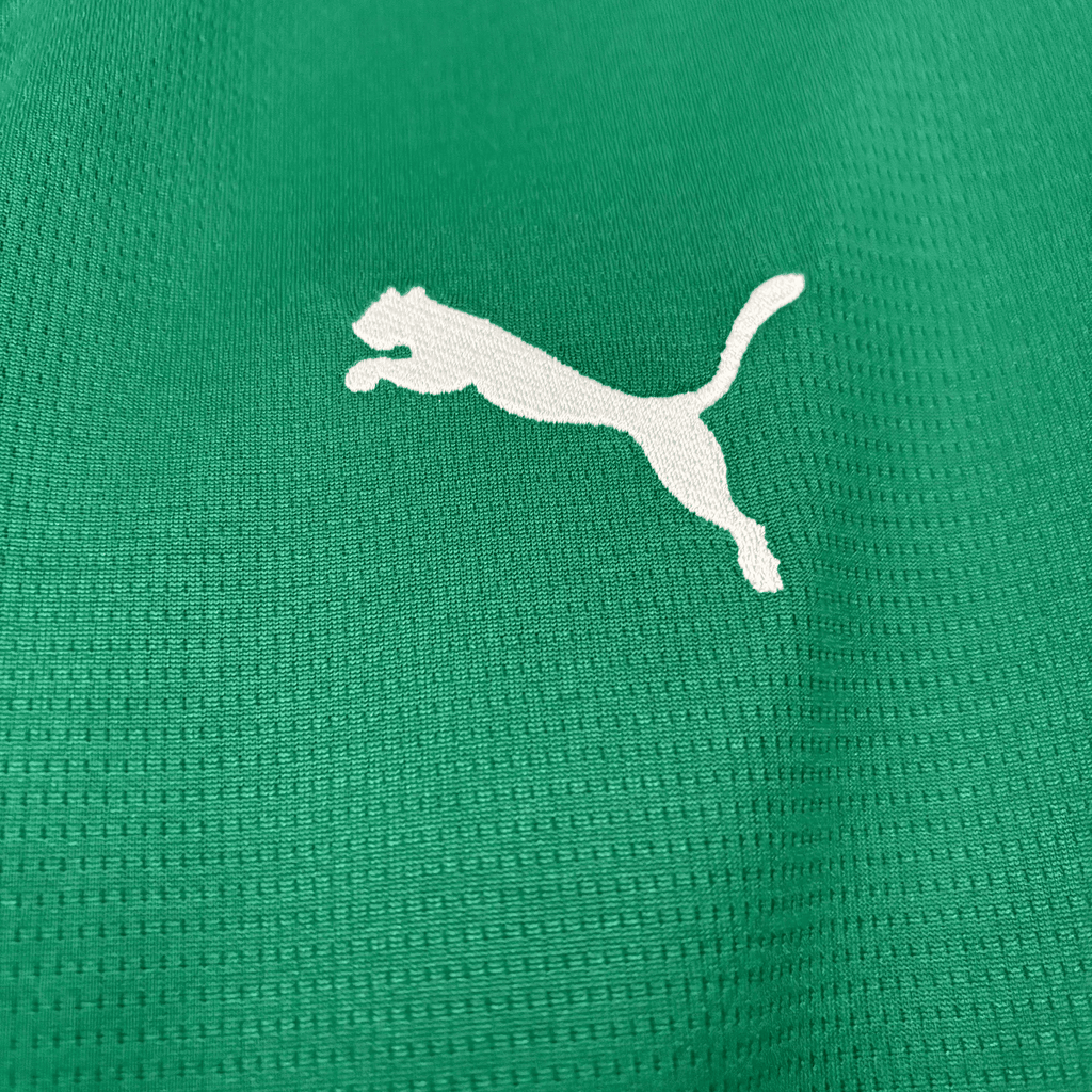 Camisa Palmeiras 2026 Home — Torcedor
