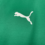 Camisa Palmeiras 2026 Home — Torcedor