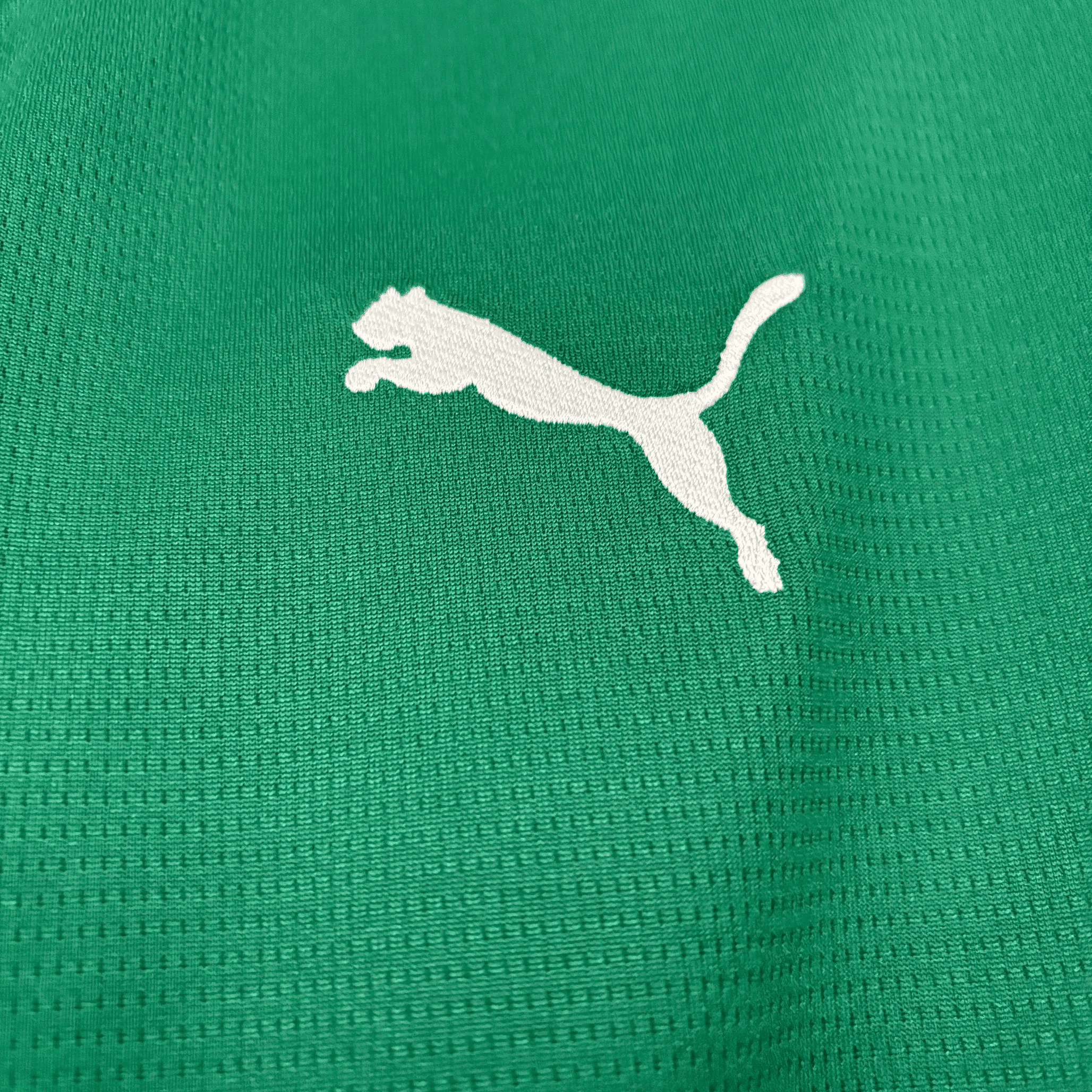 Camisa Palmeiras 2026 Home — Torcedor