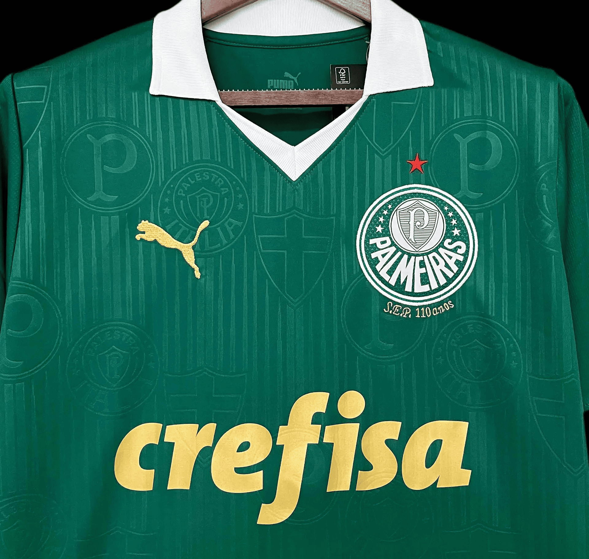 Camisa Palmeiras 2024 Home — Torcedor