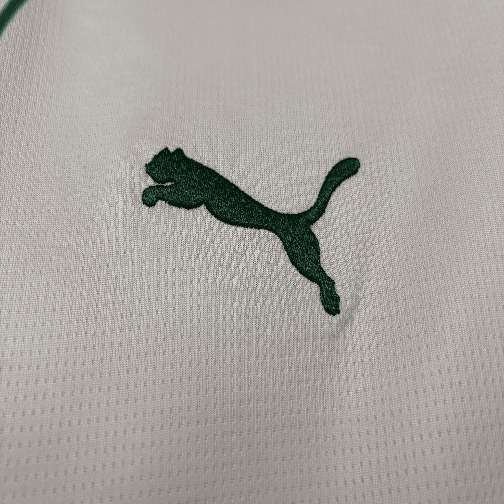 Camisa Palmeiras 2026 Away — Torcedor