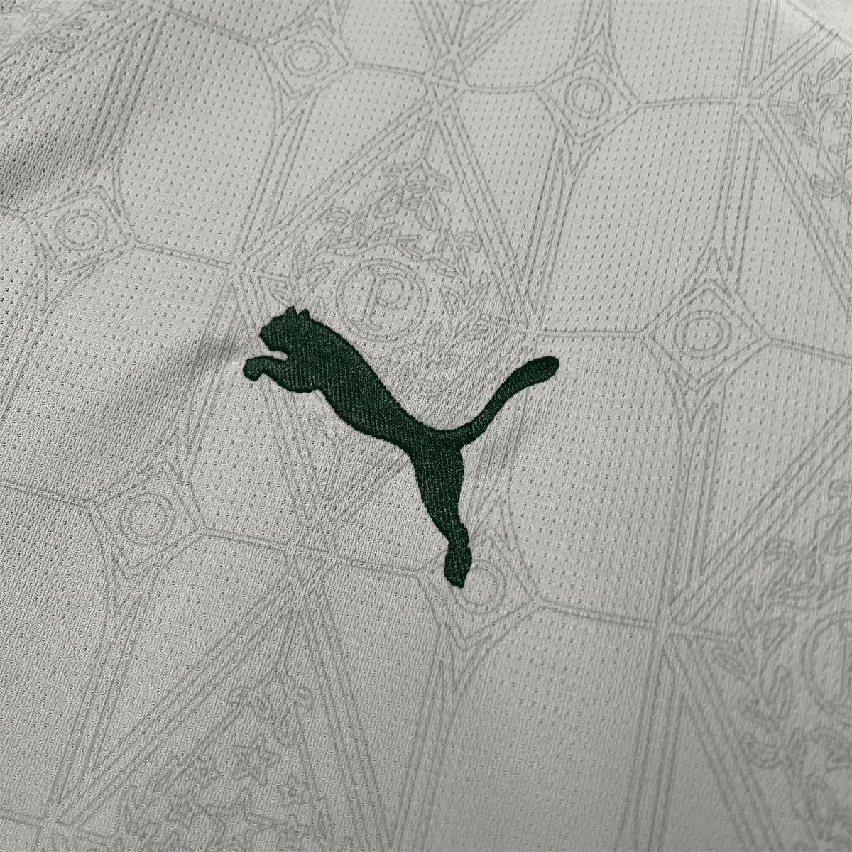 Camisa Palmeiras 2025 Away — Torcedor