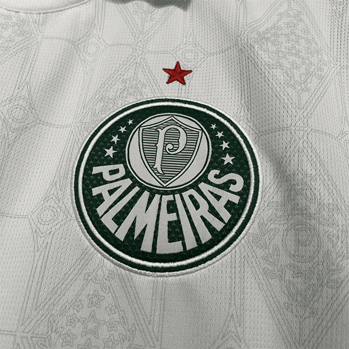 Camisa Palmeiras 2025 Away — Torcedor