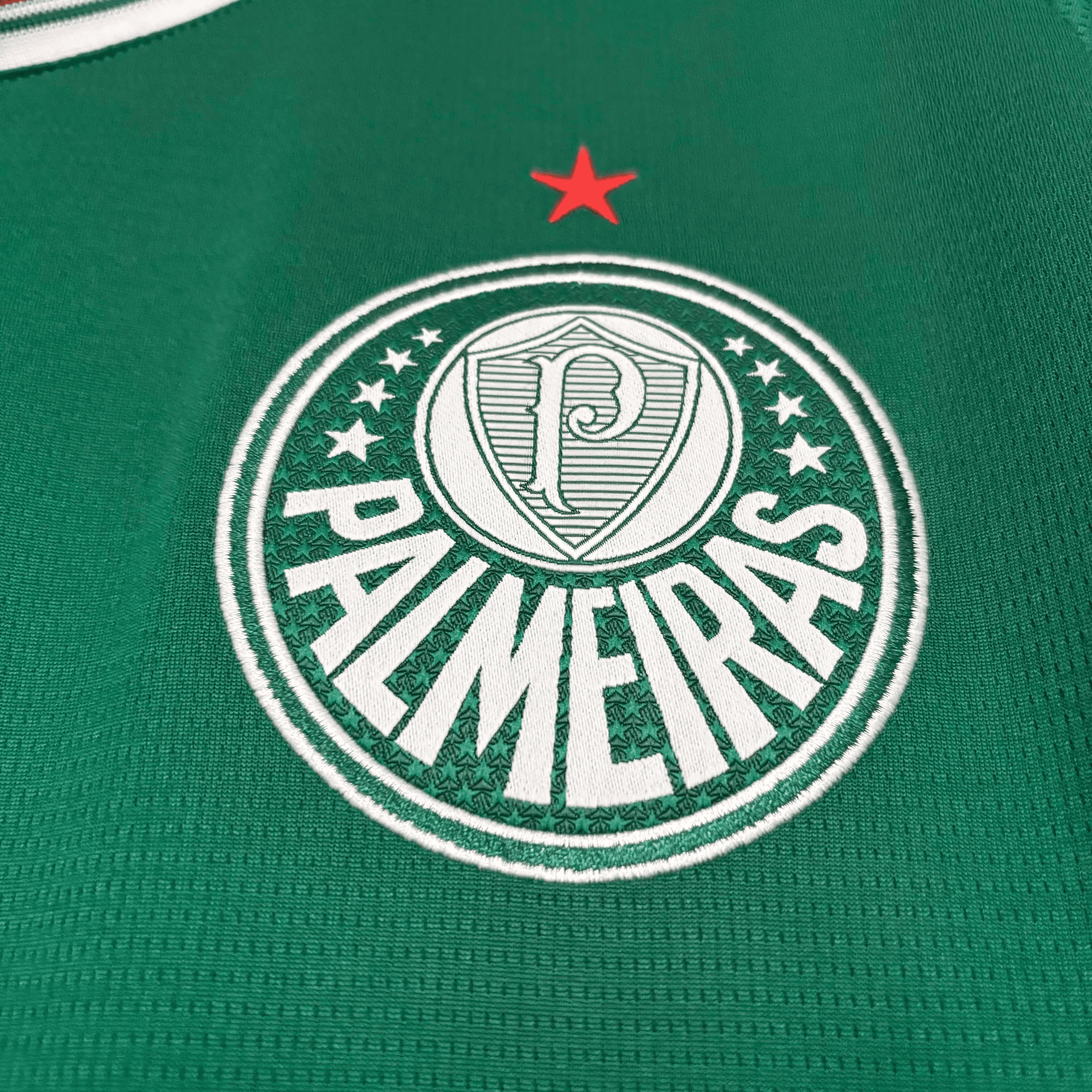 Camisa Palmeiras 2026 Home — Torcedor