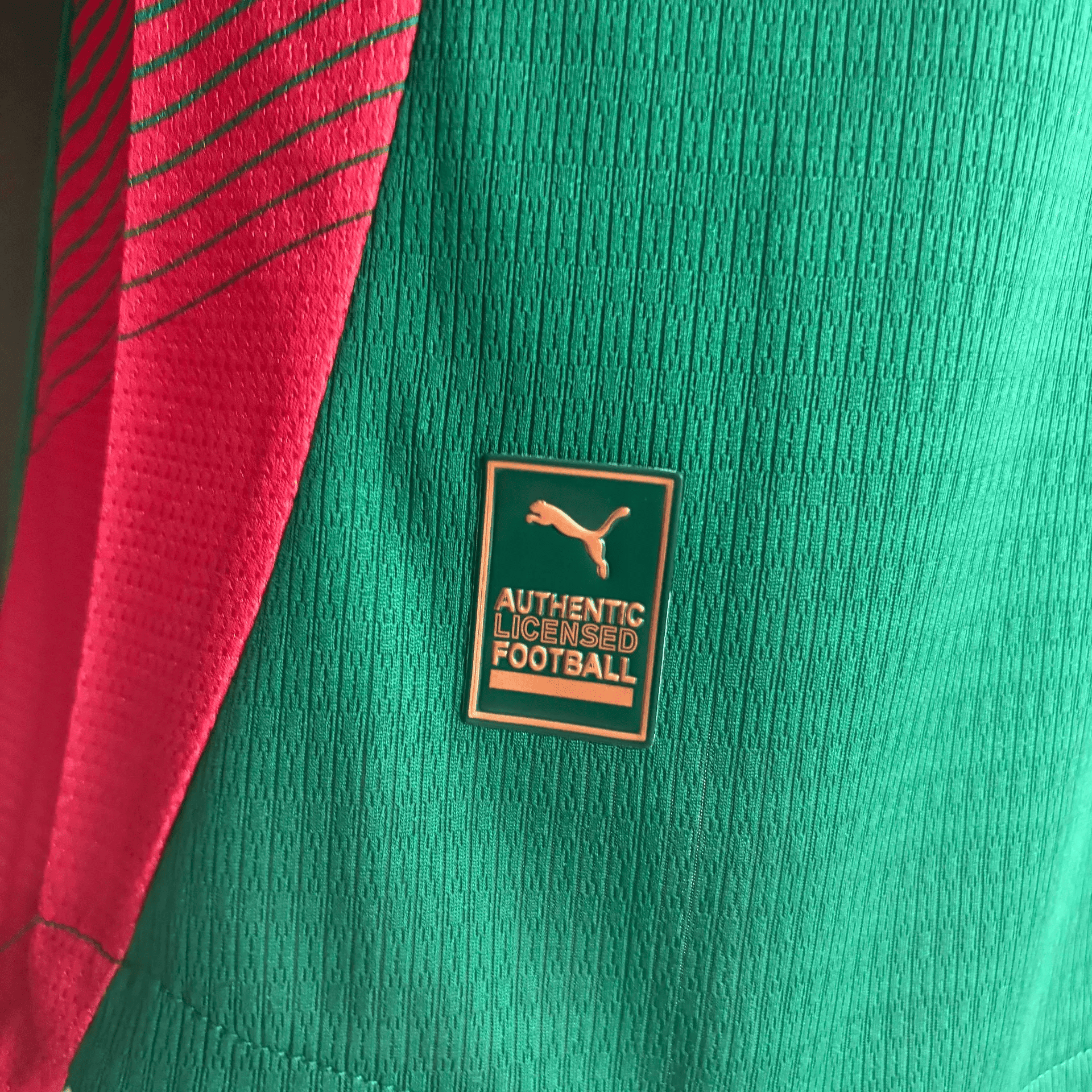 Camisa Palmeiras 2026 Home — Jogador
