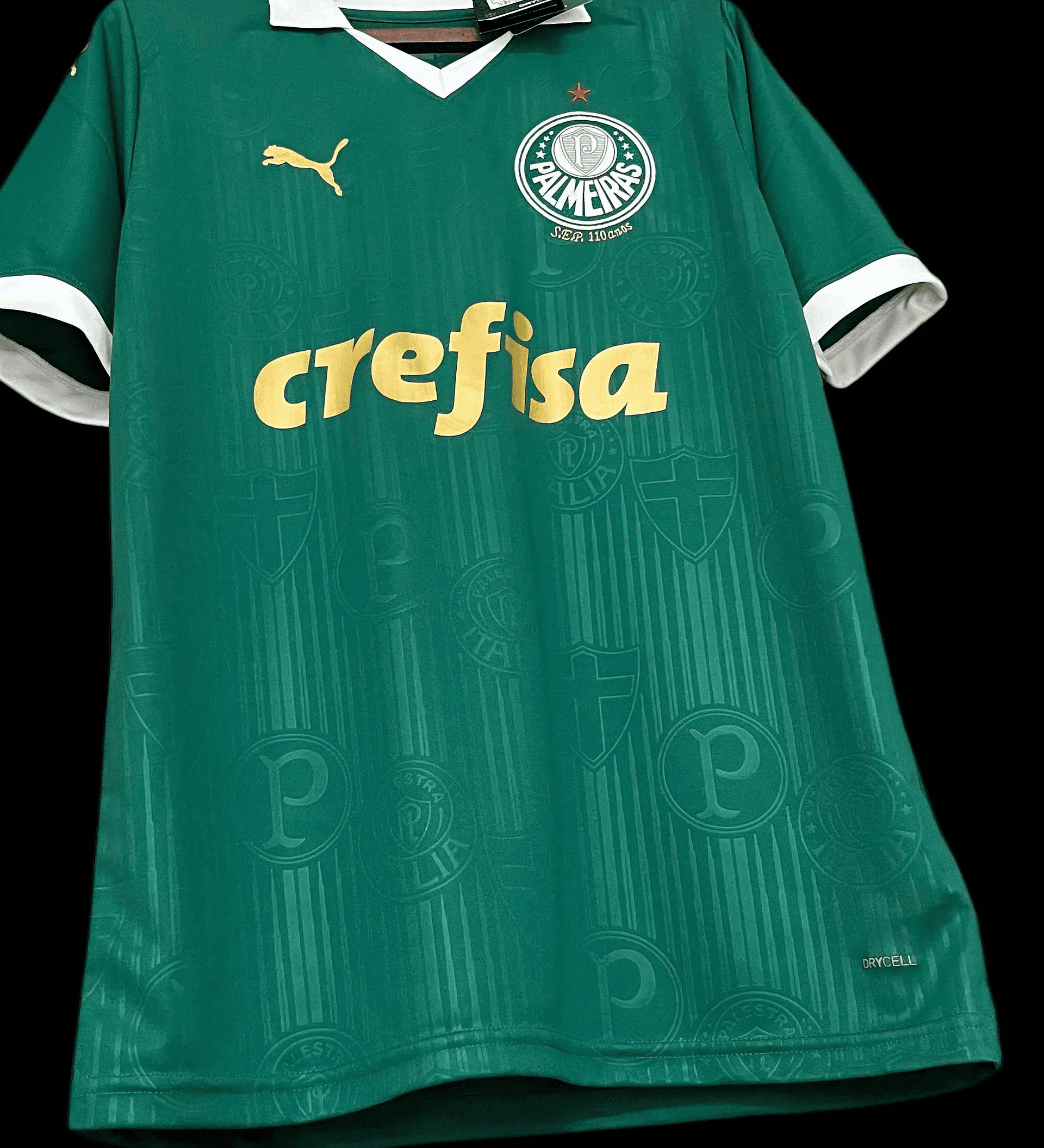 Camisa Palmeiras 2024 Home — Torcedor