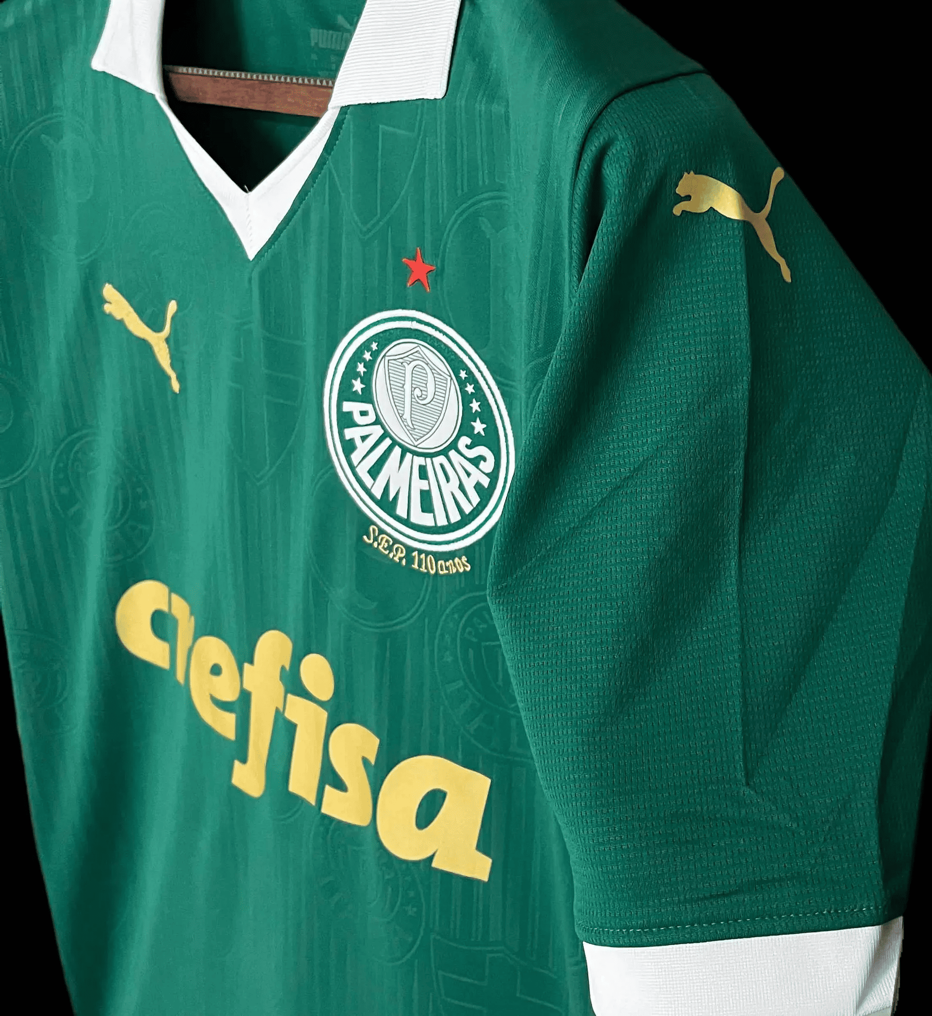 Camisa Palmeiras 2024 Home — Torcedor